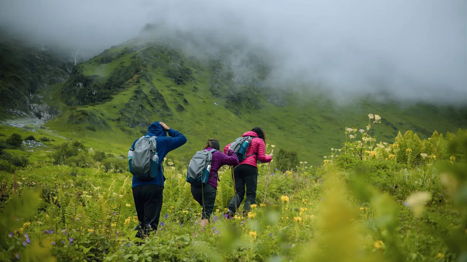 Trekkers making their way through the bloom