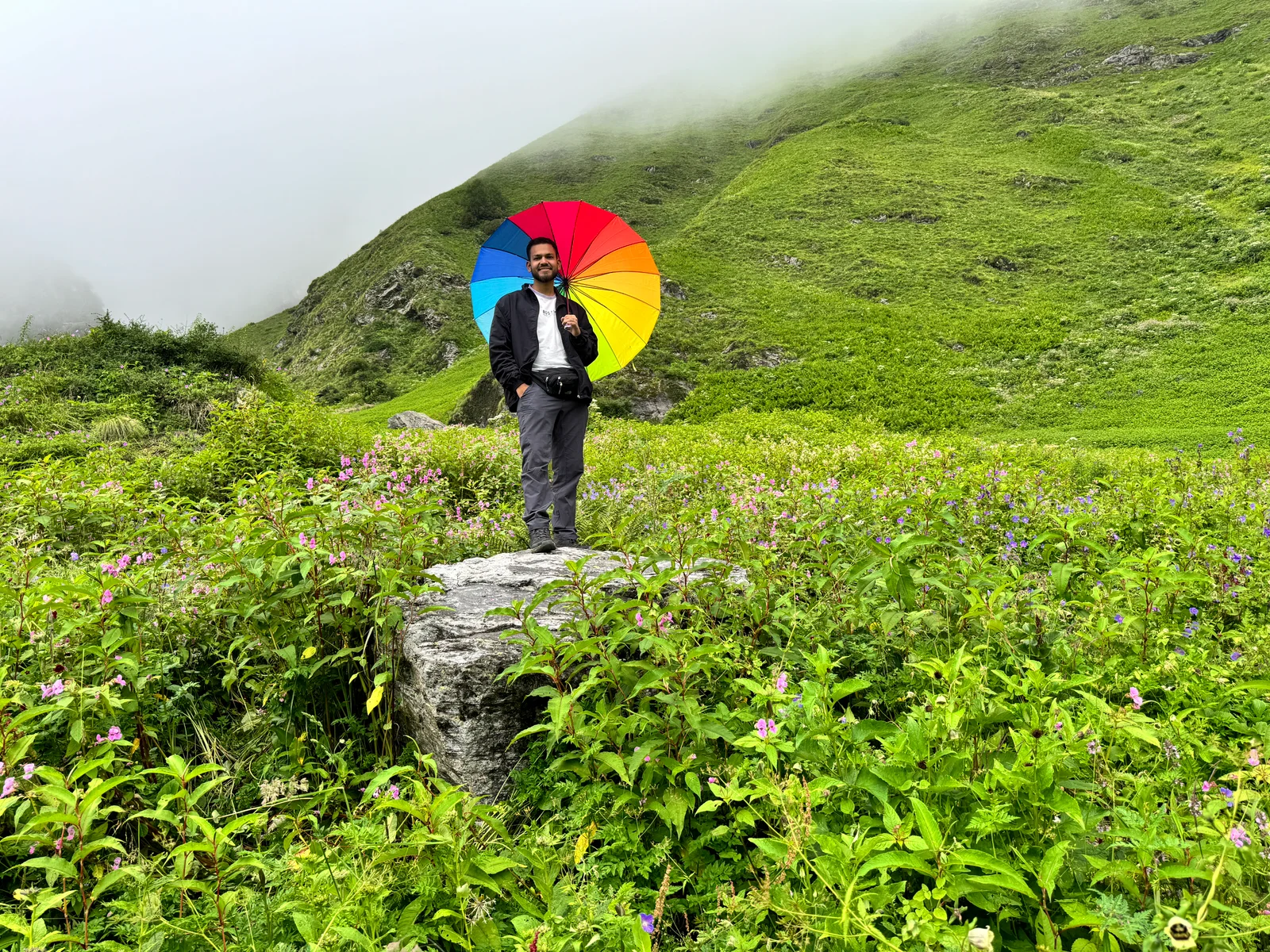 Splashes of colour against the green valley
