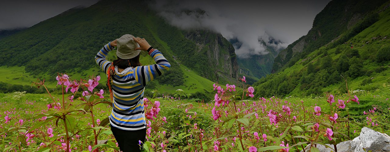 Taking in the misty valley view